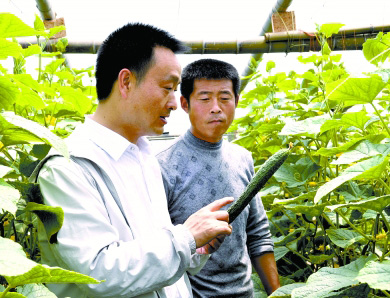 裴春亮（左）了解蔬菜生產情況。
