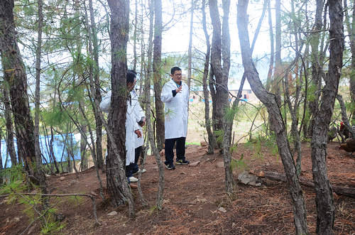 ���ղ������е�������ҵ