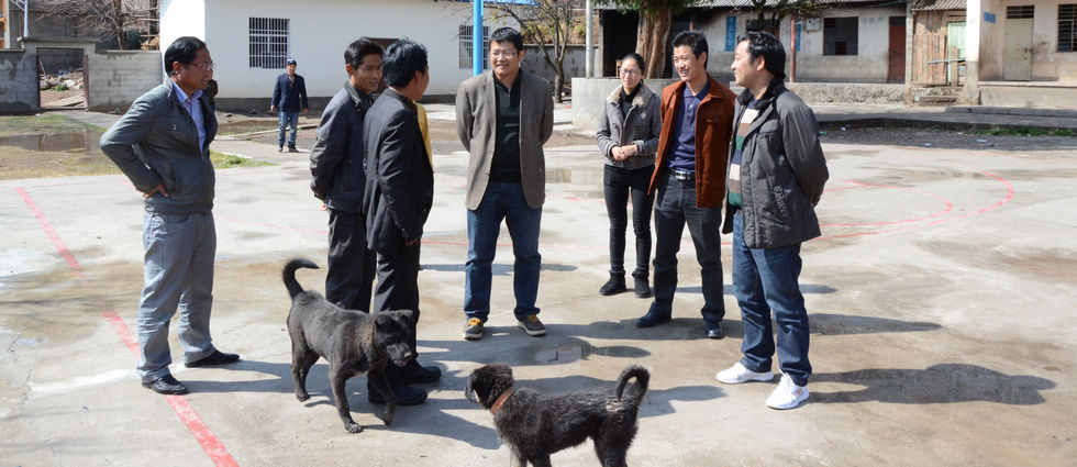 ���յ��д弶��ؽ���