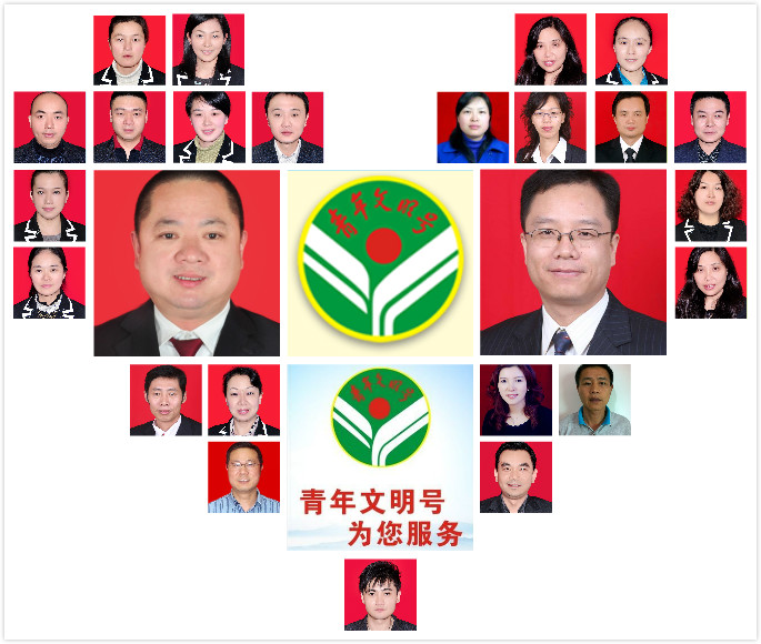 317��������������������