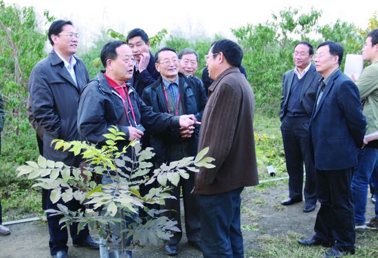 南京林业大学林学院原副院长汤庚国,省林科院原副院长李晓储在邳州市