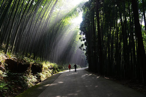 为正在崛起的大竹旅游点赞