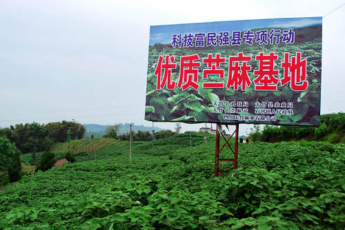 ʯ�������������������ء�