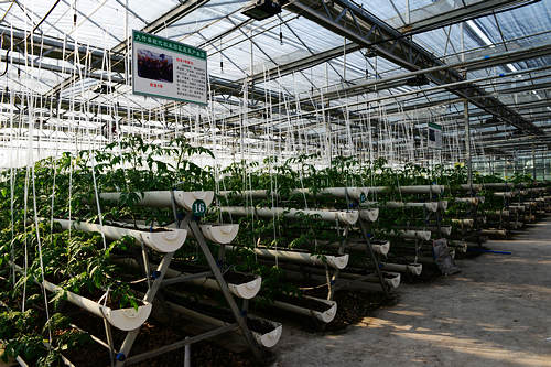 �������ִ�ũҵ԰���߲˲�ҵ԰