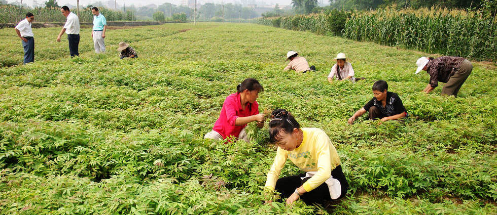 ����ϣ�����㴻����