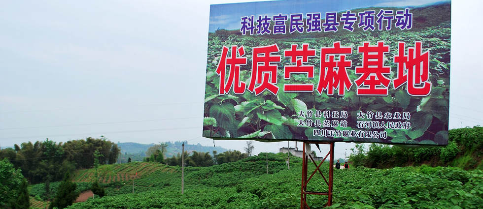 ʯ��������������������