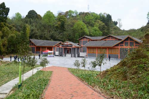 四川大竹:优势产业打造经济发展特色舞台