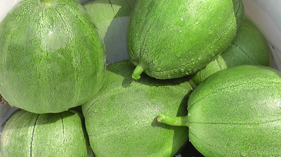 ���Ǿ�������������������ũ�����롾4��