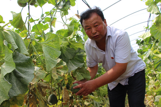 ���Ǿ�������������������ũ������