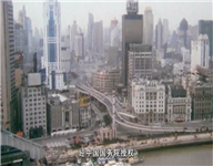 上海証券交易所成立
