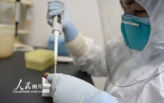 2月15日，江西省新余市疾病預防控制中心檢驗科實驗室內，檢驗人員忙碌於新型冠狀病毒核酸檢測的各個流程。