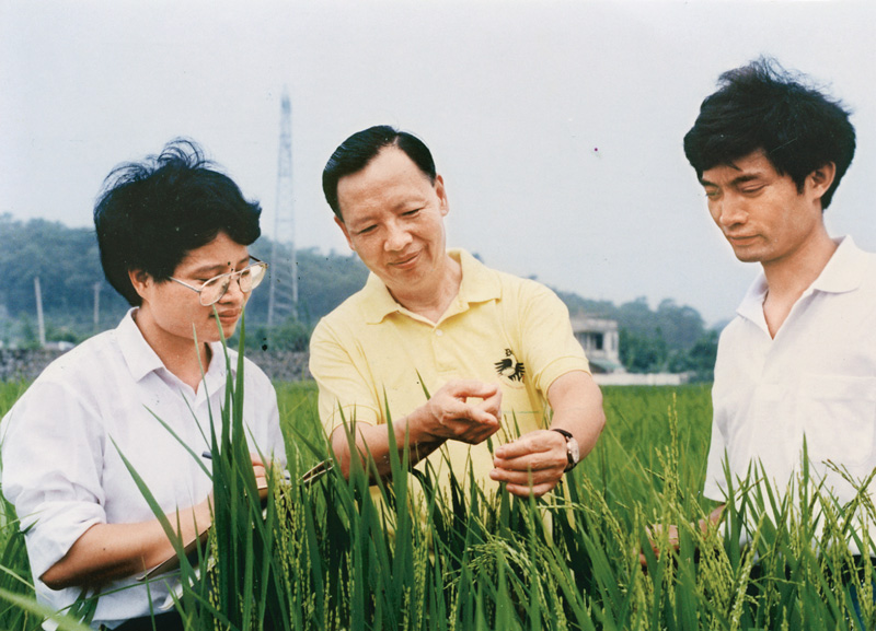 盧永根（中）在水稻試驗地指導博士研究生（資料照片）。新華社發（華南農業大學供圖）