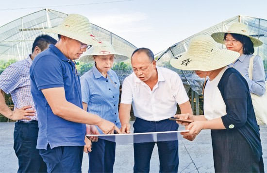 圖為2022年7月，徐利民（右三）和相關專家實地察看上山遺址博物館選址區塊。 張國萍/攝