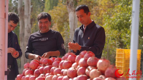村民正在沿街售賣新鮮採摘的石榴。人民網 李欣洋攝